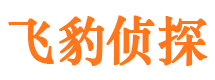 萨迦调查公司